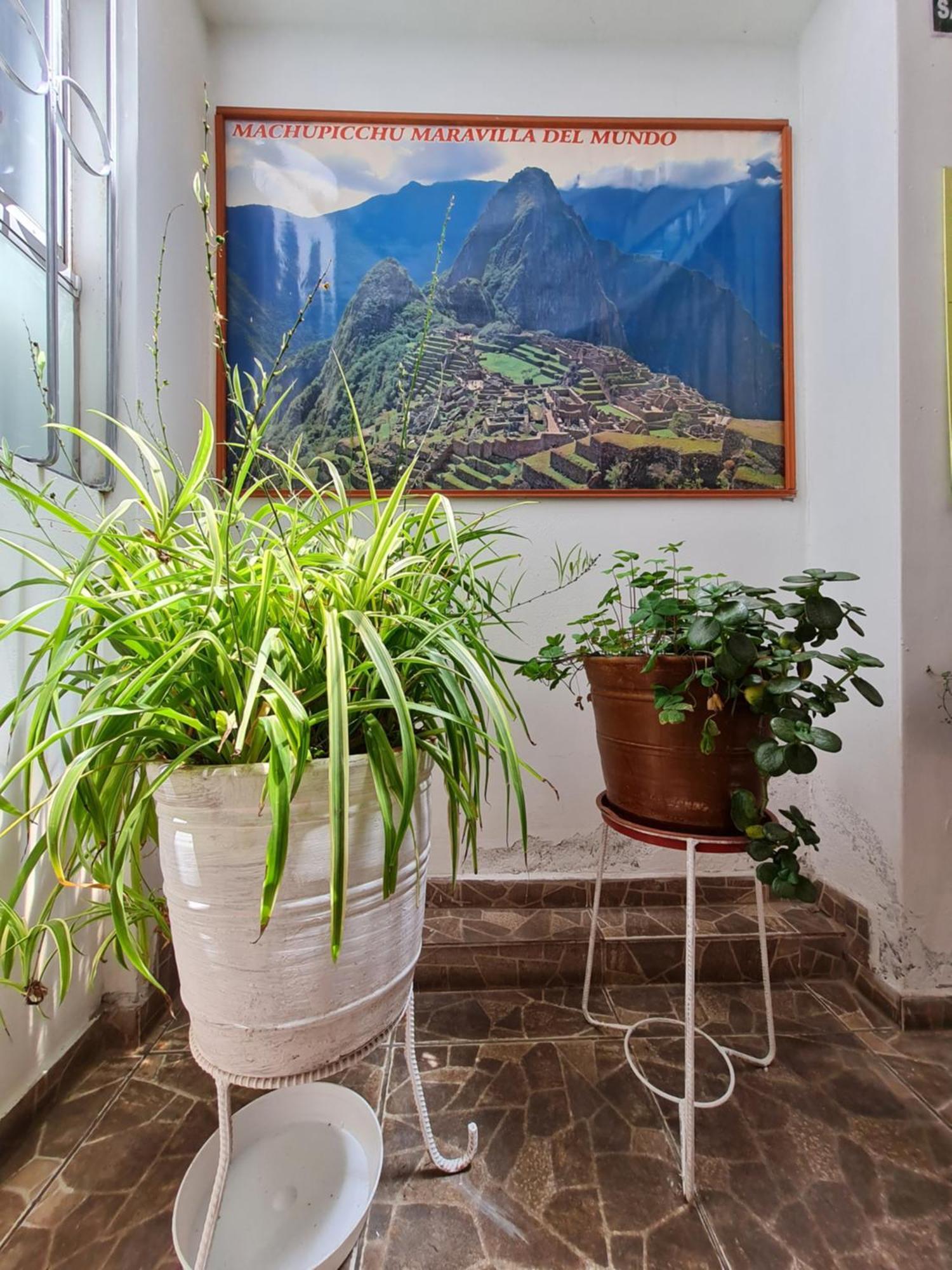 Kallpa Wasi Apartment Cusco